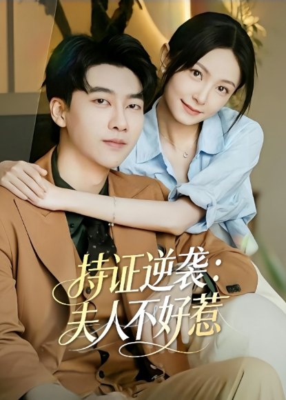 持证逆袭:夫人不好惹海报